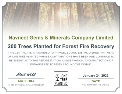 Navneet Gems Trees Planted For Forest Fire Recovery January 2022