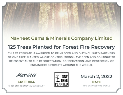 125 Trees Planted for Forest Fire Recovery March 2022