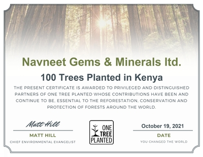 Navneet Gems and Minerals October Tree Planted Certificate