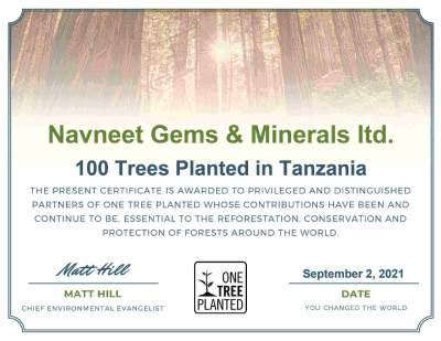 Navneet Gems & Minerals September Certificate For 100 Planted in Tanzania